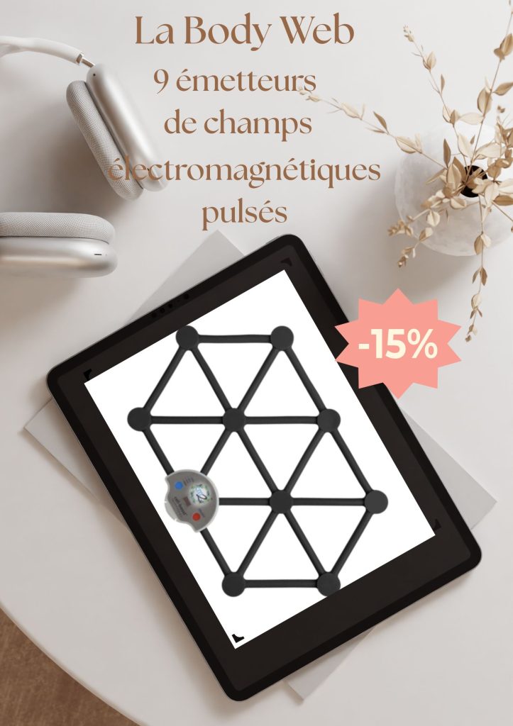 La Body Web